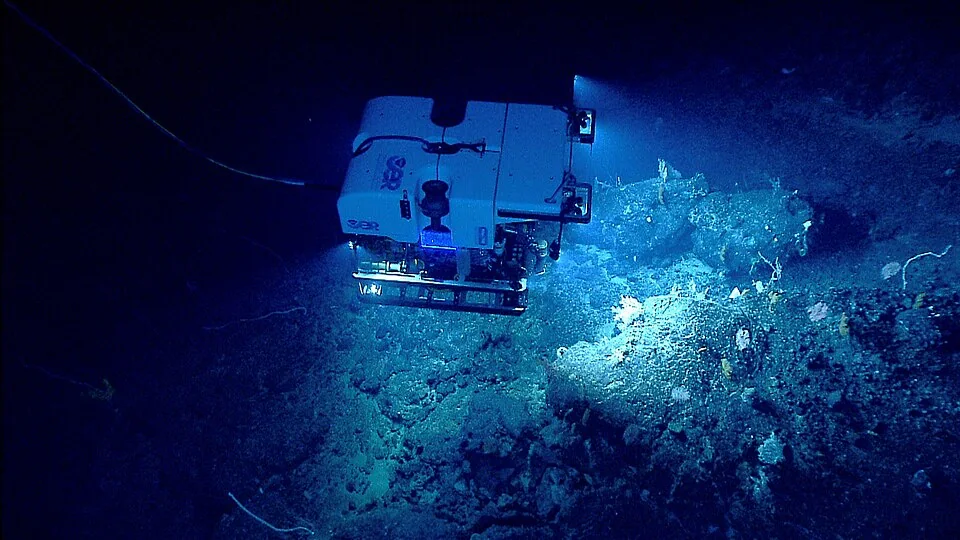 Deep Discoverer illuminating a deep-sea coral habitat at Retriever Seamount
